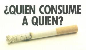 tabaco3 tabaco3 300x177 El tabaco puede llevar a bastantes enfermedades infecciosas