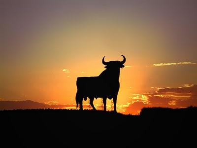 Un polémico toro frente a Marruecos. Un polémico toro frente a Marruecos.
