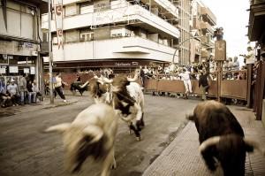 Encierro Entroido de Verín, Carnaval del Toro y Carnaval de Aguilas
