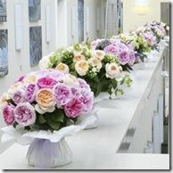 Regalar flores en el día de San Valentín 426