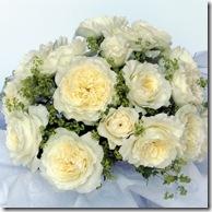 Regalar flores en el día de San Valentín 356