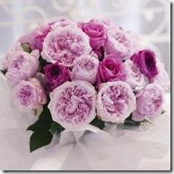 Regalar flores en el día de San Valentín 349