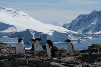 Crean el primer registro climático de las aguas de la Antártida de los últimos 12.000 años Crean el primer registro climático de las aguas de la Antártida de los últimos 12.000 años