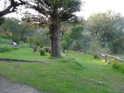 Jardín Botánico 