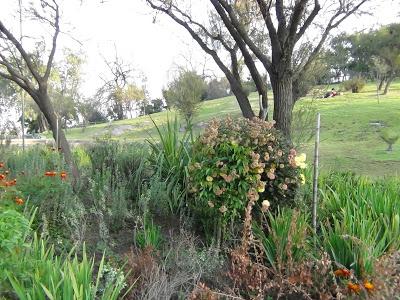 Jardín Botánico 