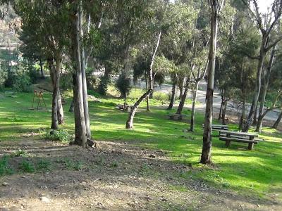 Jardín Botánico 