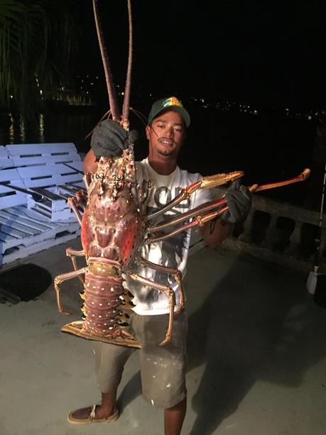 Pescadores capturan una monstruosa langosta de 14 libras