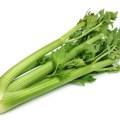 Fresh green celery wegetable on white background