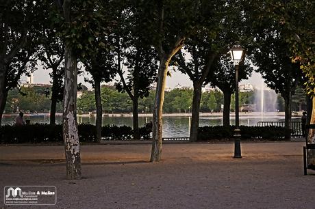 Otro Madrid a la luz de una farola - Fotografía artística