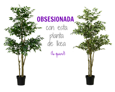 mi última obsesión: la planta Fejka de Ikea!