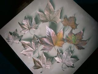 Un mal sueño recurrente Un mal sueño recurrente