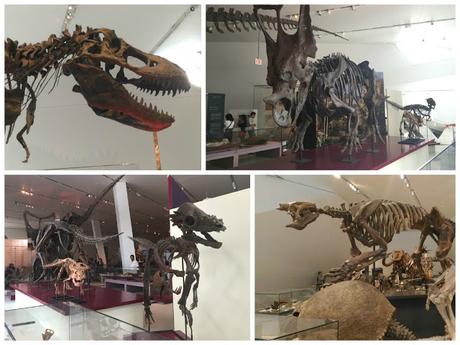 Animales prehistóricos en el Royal Ontario Museum de Toronto