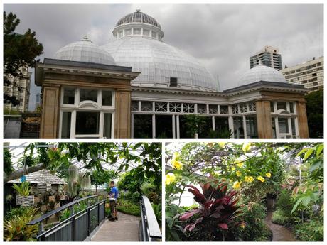 Allan Gardens Conservatory de Toronto