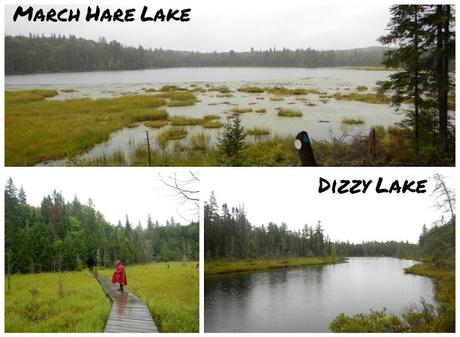 Mizzy Lake Trail en el Algonquin Provincial Park