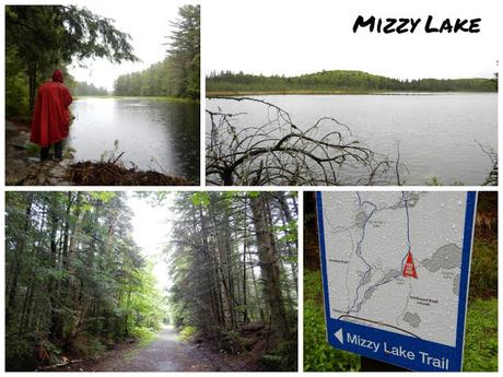 Mizzy Lake Trail en el Algonquin Provincial Park