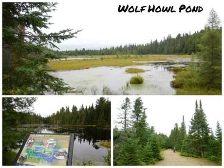 Mizzy Lake Trail en el Algonquin Provincial Park