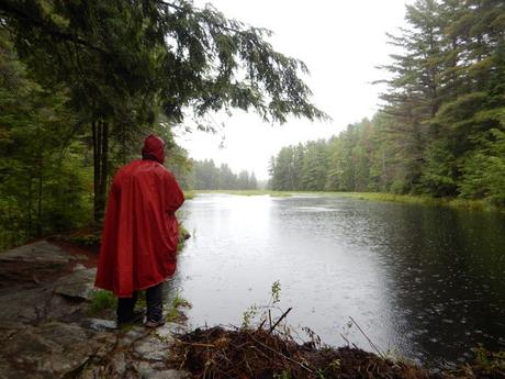 Mizzy Lake Trail en el Algonquin Provincial Park