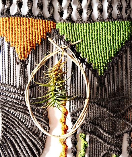 PLANTA AEREA; DIY CON TILLANDSIA PLANTA AEREA; DIY CON TILLANDSIA