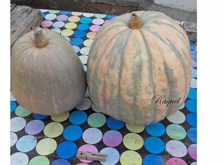 Crema de calabaza y naranja Crema de calabaza y naranja