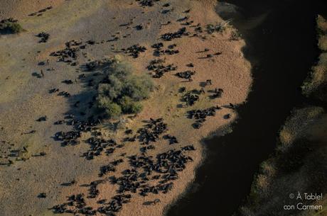 Safari en Botswana, Sobrevolando el Delta del Okavango