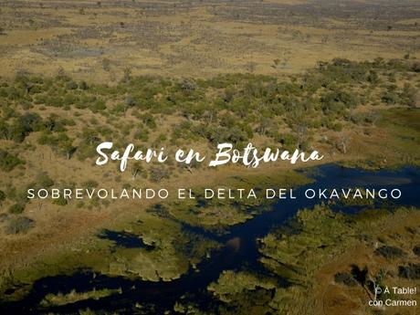 Safari en Botswana, Sobrevolando el Delta del Okavango