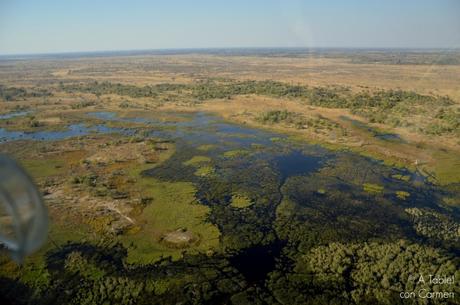 Safari en Botswana, Sobrevolando el Delta del Okavango