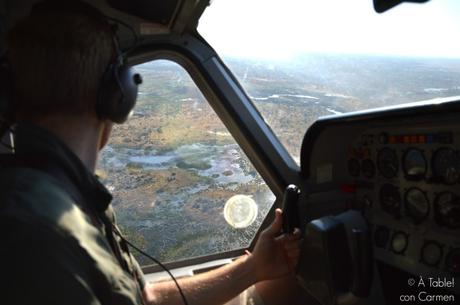 Safari en Botswana, Sobrevolando el Delta del Okavango