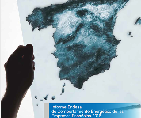 informe-endesa