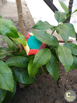 Acerico de hexágonos otoñal Acerico de hexágonos otoñal