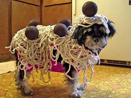 disfraces para perros disfraces para perros