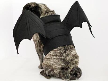 disfraces para perros disfraces para perros