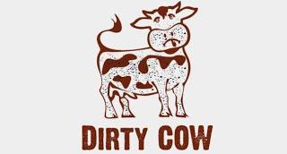 dirty_cow_imagen