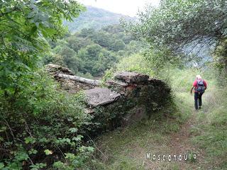 Por la parroquia de Clavillas (Santiago de Hermo-La Bustariega-Valcárcel-Clavillas)