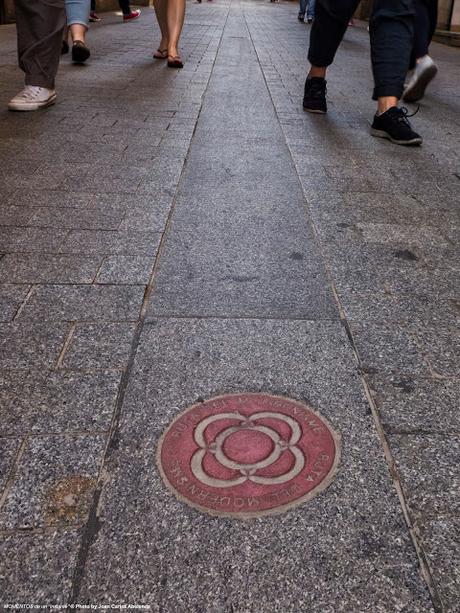 Barcelona (Ciutat Vella): Rosa urbana