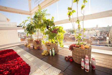 Vita Rich, la nueva línea corporal de Johnson's presentación, johnson's vita rich