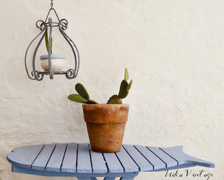 8 CACTUS PRECIOSOS QUE DEBES TENER EN CASA