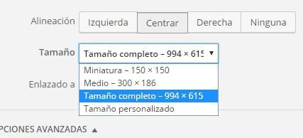 WordPress para principiantes: Escribir un post wordpress-imagenes-tamano