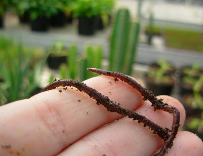 TerraCycle, 7 años reciclando en México TerraCycle, 7 años reciclando en México