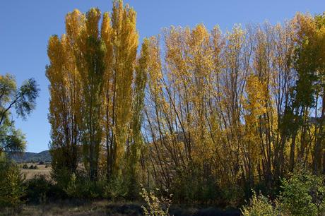 El río Dulce 