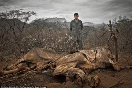 Mira como estamos matando a nuestro planeta..¿Tú formas parte de ello? matanza-de-animales-blog-el-barrio-verde-tenerife