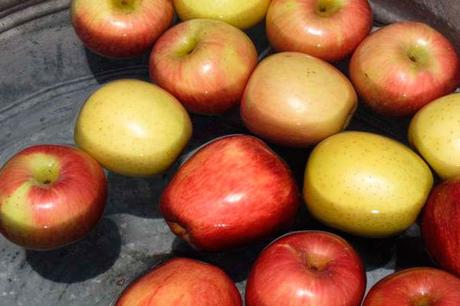 Bobbing-for-apples-manzanas-Halloween-morder-la-manzana