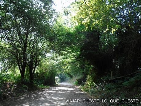 camino de santiago