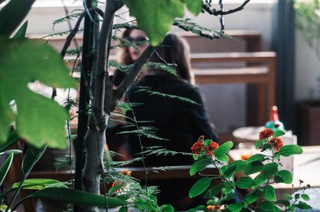 En la Ciudad: El Vermut del Pulitzer estrena temporada Vermut Terraza Pulitzer Barcelona