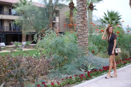 LA diary: Palm Springs IMG_8743