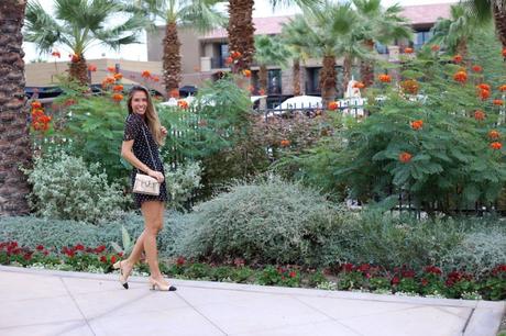 LA diary: Palm Springs IMG_8751