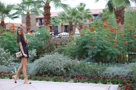 LA diary: Palm Springs IMG_8756
