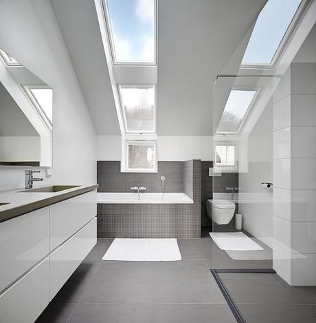 Casa Minimalista con Techo de Paja en Paises Bajos Casa Minimalista con Techo de Paja en Paises Bajos
