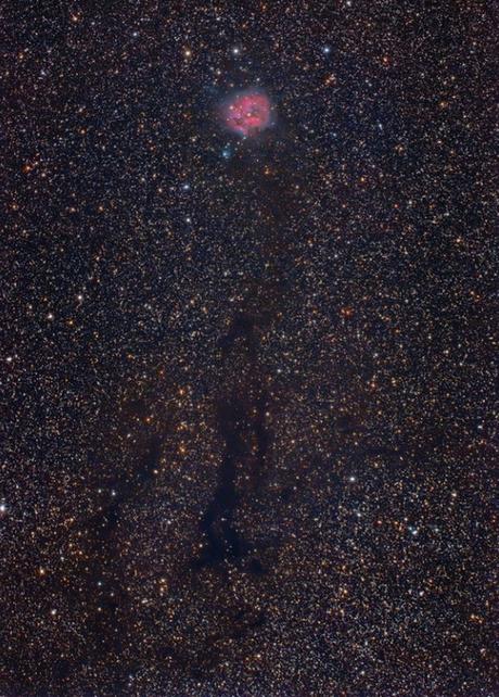 ✨Campo amplio de la nebulosa del capullo ✨Campo amplio de la nebulosa del capullo