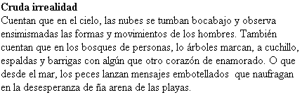 Cosas que escribí mientras se me enfriaba el café, de Isaac Pachón