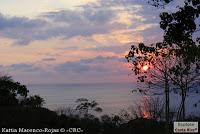 Playa Manzanillo -Cóbano de Puntarenas, Puntarenas- Playa Manzanillo -Cóbano de Puntarenas, Puntarenas-